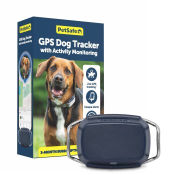GPS Dog Tracker + Activity Monitoring