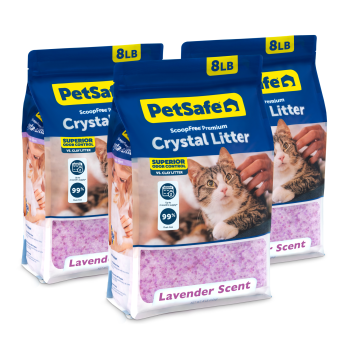 Crystal Cat Litter - ScoopFree® Premium Lavender 3-Pack