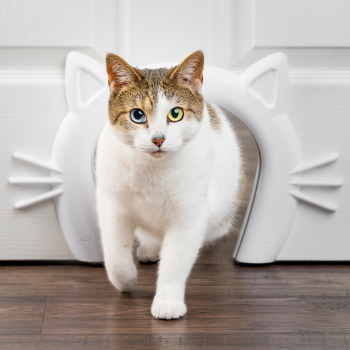 Cat Corridor™ Interior Pet Door