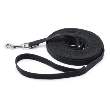 Training Lead