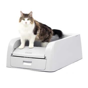 Automatic Litter Box Clumping Litter - ScoopFree® Clumping Self-Cleaning
