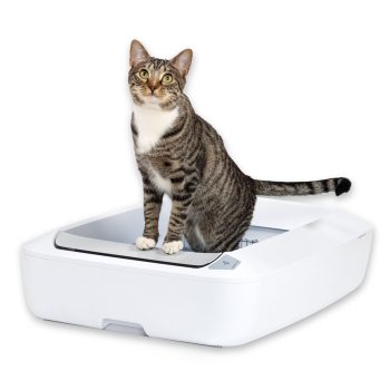 Self-Cleaning Litter Box