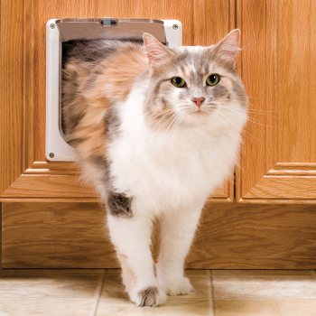 Interior Cat Door