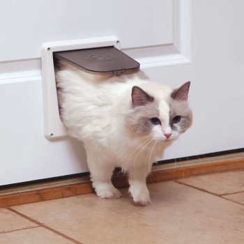 Interior Cat Door