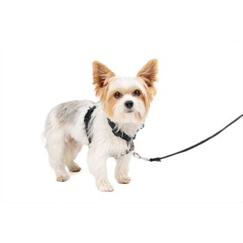 Easy Walk® 3 in 1 Harness