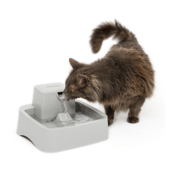 Oasys™ Pet Fountain